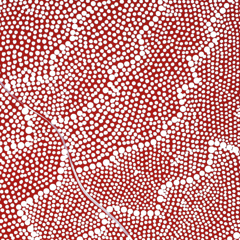 Aboriginal Artwork by Mary Napangardi Butcher, Pikilyi Jukurrpa, 30x30cm