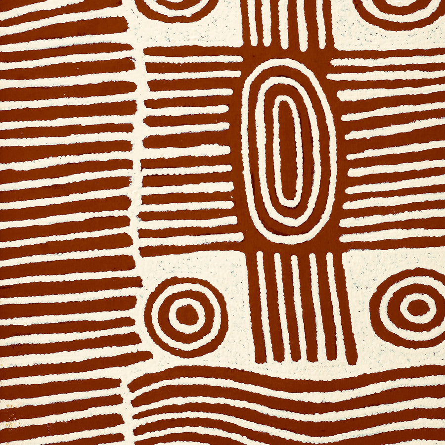 Aboriginal Artwork by Maryanne Nungarrayi Spencer, Wardapi Jukurrpa (Goanna Dreaming) - Yarripurlangu, 61x46cm