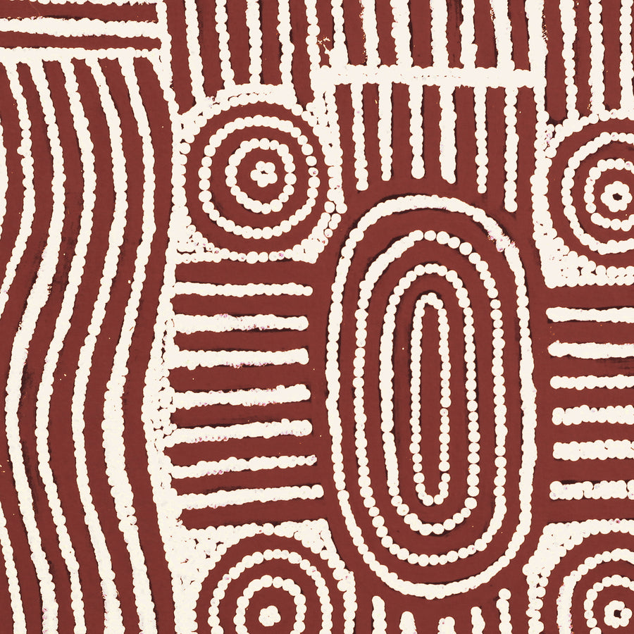 Aboriginal Artwork by Maryanne Nungarrayi Spencer, Wardapi Jukurrpa (Goanna Dreaming) - Yarripurlangu, 46x46cm