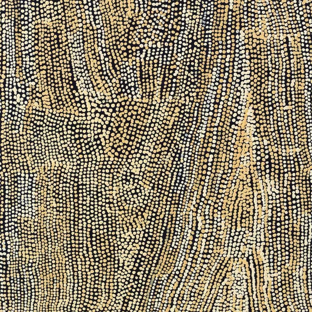 Aboriginal Artwork by Mavis Nampitjinpa Marks, Kalipinpa Water Dreaming, 122x102cm