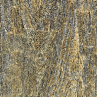 Aboriginal Artwork by Mavis Nampitjinpa Marks, Kalipinpa Water Dreaming, 122x102cm