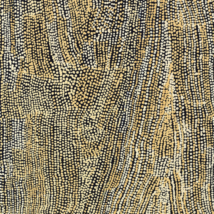 Aboriginal Artwork by Mavis Nampitjinpa Marks, Kalipinpa Water Dreaming, 122x102cm