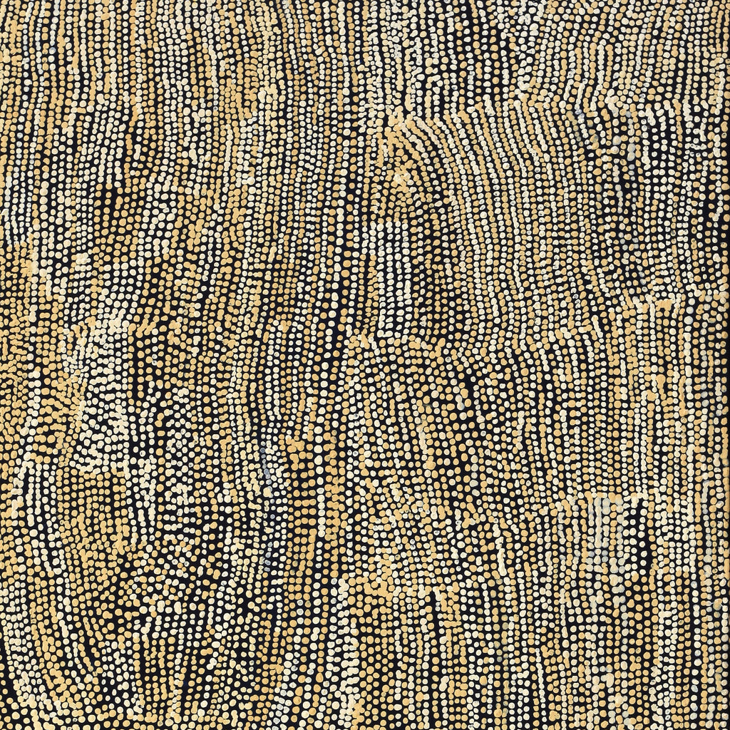Aboriginal Artwork by Mavis Nampitjinpa Marks, Kalipinpa Water Dreaming, 122x102cm