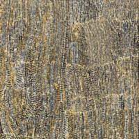 Aboriginal Artwork by Mavis Nampitjinpa Marks, Kalipinpa Water Dreaming, 122x102cm