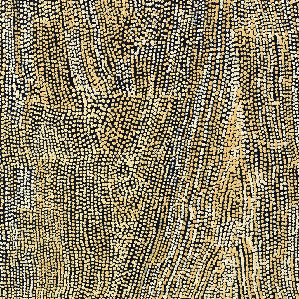 Aboriginal Artwork by Mavis Nampitjinpa Marks, Kalipinpa Water Dreaming, 122x102cm - ART ARK®
