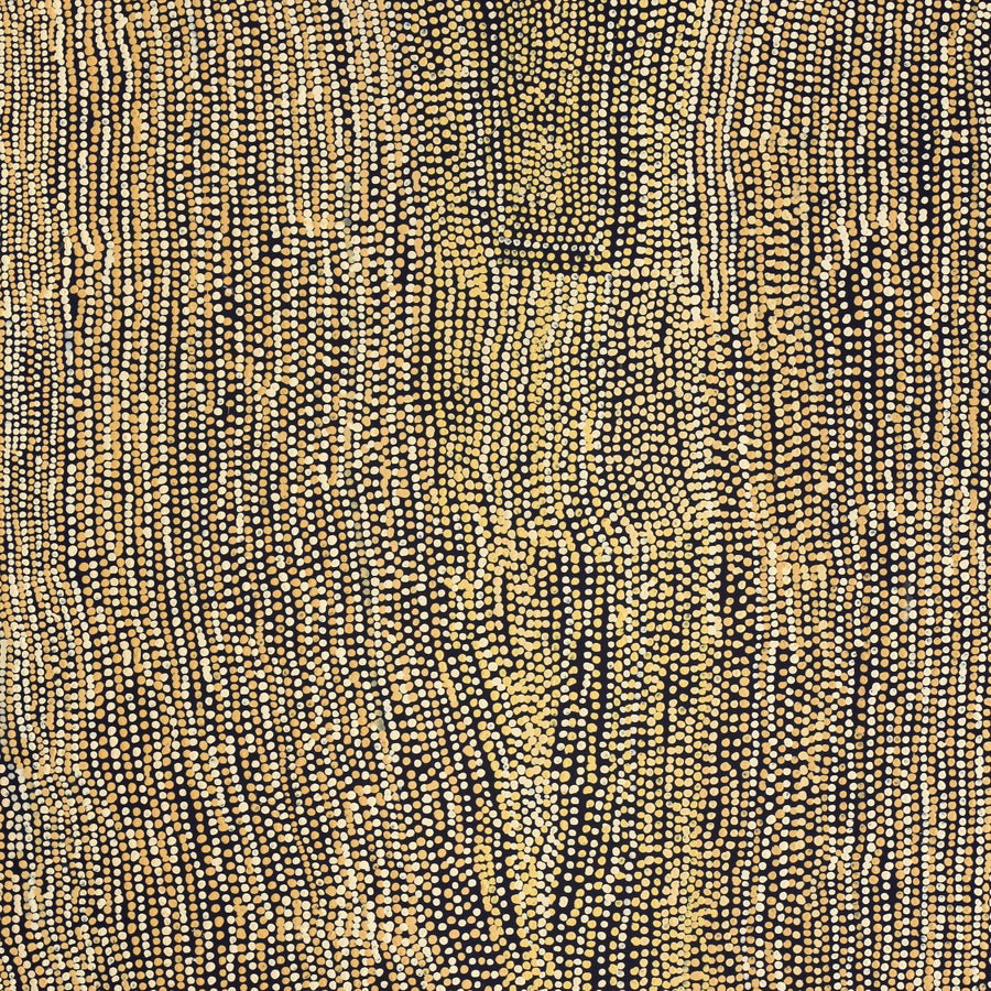 Aboriginal Artwork by Mavis Nampitjinpa Marks, Kalipinpa Water Dreaming, 198x121cm