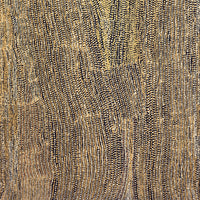 Aboriginal Artwork by Mavis Nampitjinpa Marks, Kalipinpa Water Dreaming, 198x121cm