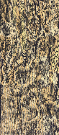 Aboriginal Artwork by Mavis Nampitjinpa Marks, Kalipinpa Water Dreaming, 91x40cm