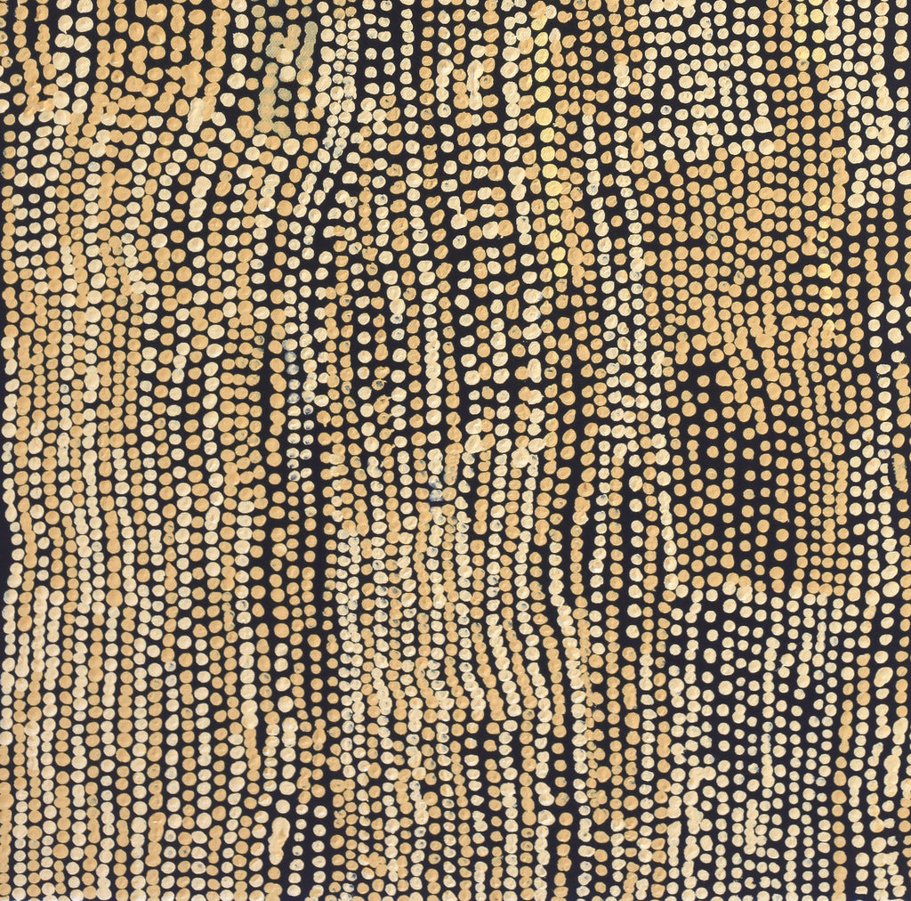 Aboriginal Artwork by Mavis Nampitjinpa Marks, Kalipinpa Water Dreaming, 91x40cm