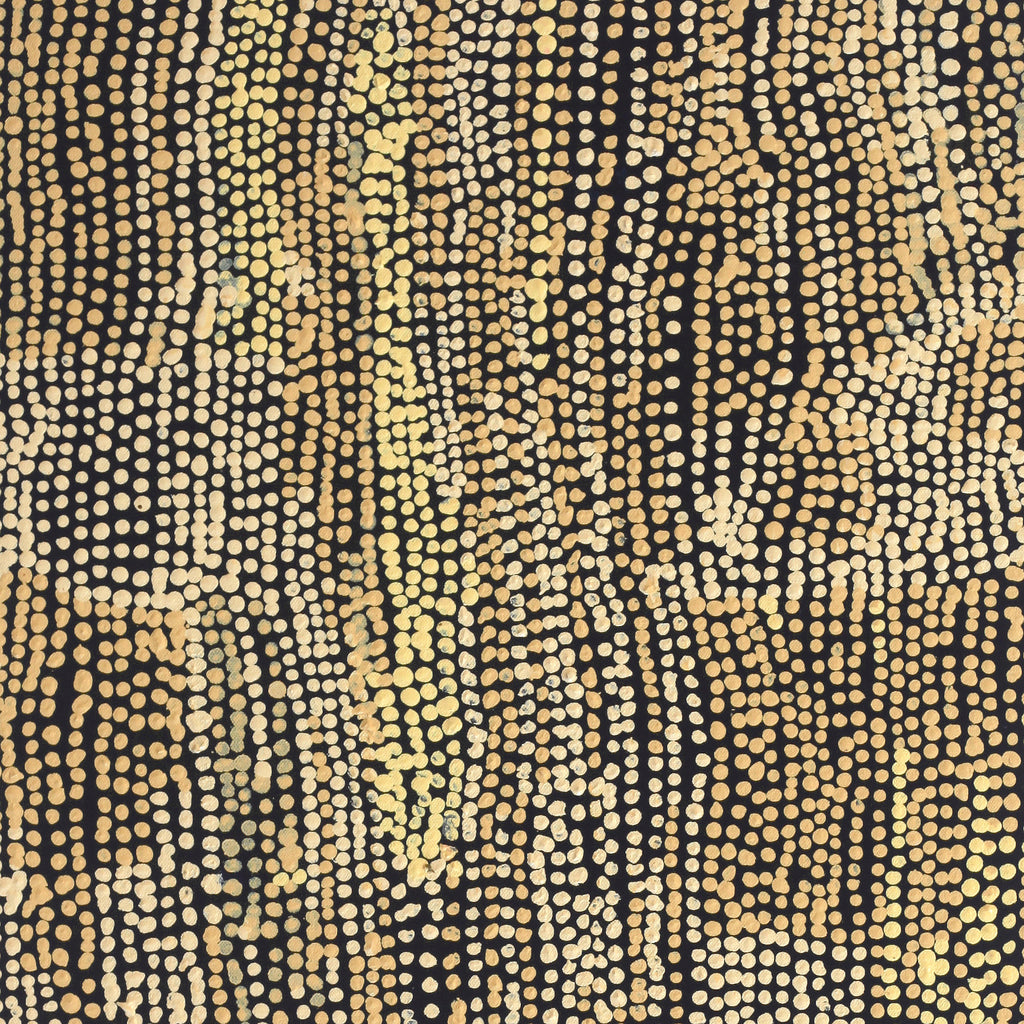 Aboriginal Artwork by Mavis Nampitjinpa Marks, Kalipinpa Water Dreaming, 91x40cm