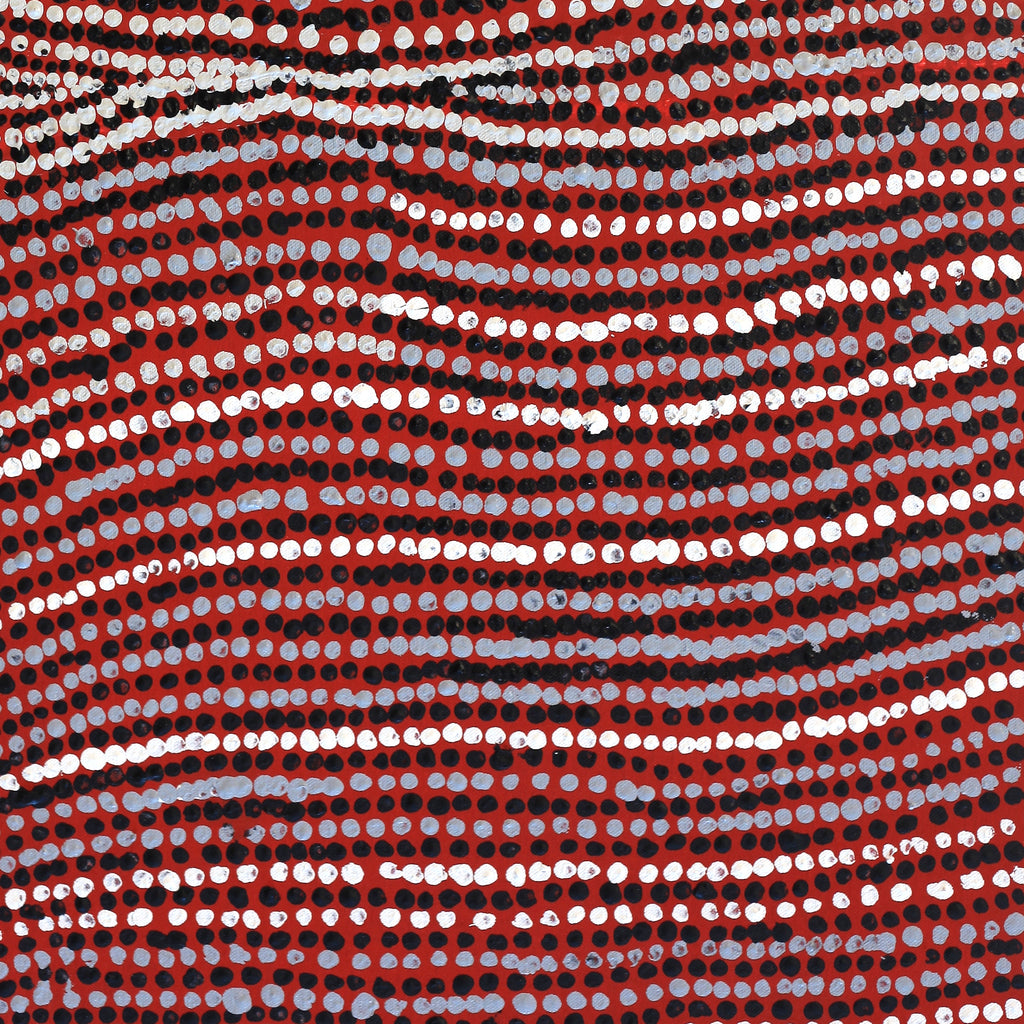 Aboriginal Artwork by Mavis Nampitjinpa Marks, Kalipinpa Water Dreaming, 96x40cm