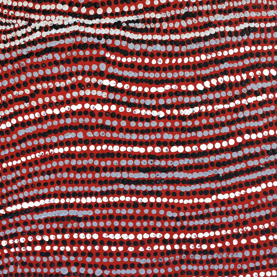 Aboriginal Artwork by Mavis Nampitjinpa Marks, Kalipinpa Water Dreaming, 96x40cm