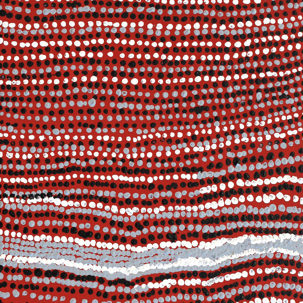 Aboriginal Artwork by Mavis Nampitjinpa Marks, Kalipinpa Water Dreaming, 96x40cm