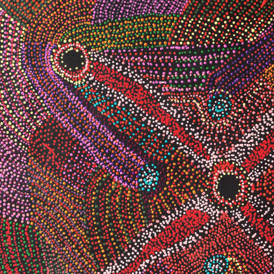 Aboriginal Artwork by Megan Nampijinpa Kantamarra, Marapinti Dreaming, 107x107cm