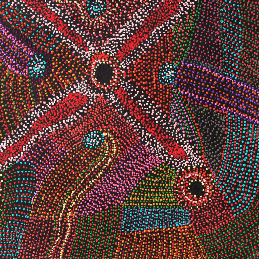 Aboriginal Artwork by Megan Nampijinpa Kantamarra, Marapinti Dreaming, 107x107cm