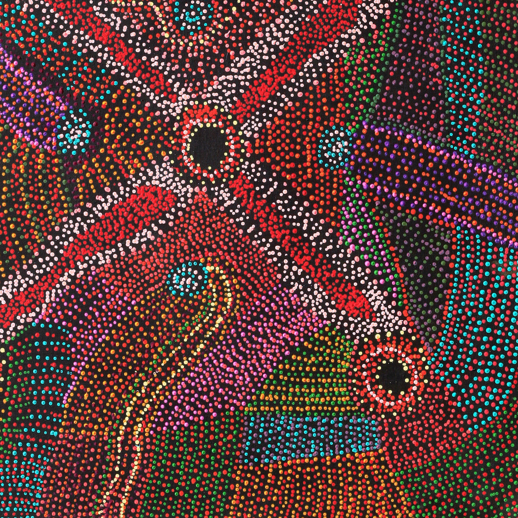 Aboriginal Artwork by Megan Nampijinpa Kantamarra, Marapinti Dreaming, 107x107cm