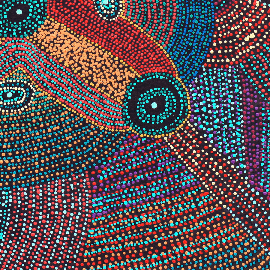 Aboriginal Artwork by Megan Nampijinpa Kantamarra, Marapinti Dreaming, 107x107cm