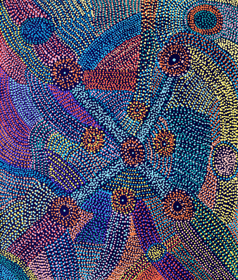 Aboriginal Artwork by Megan Nampijinpa Kantamarra, Marapinti Dreaming, 107x91cm