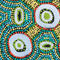 Aboriginal Artwork by Megan Nampijinpa Kantamarra, Marapinti Dreaming, 30x30cm