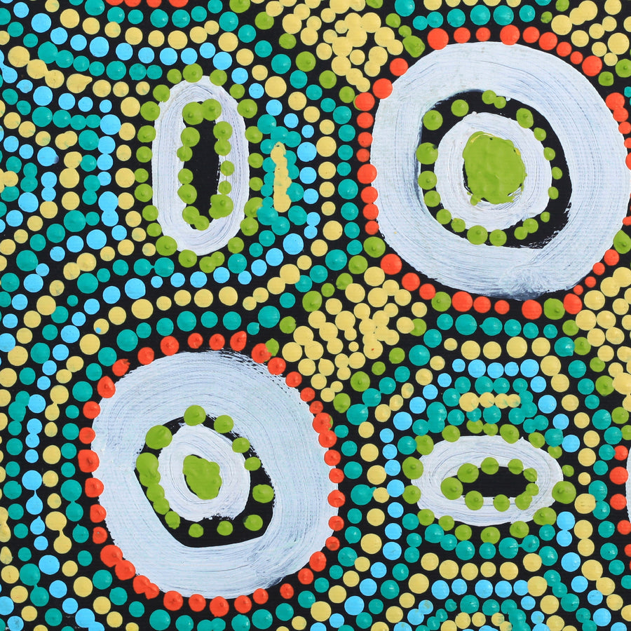 Aboriginal Artwork by Megan Nampijinpa Kantamarra, Marapinti Dreaming, 30x30cm
