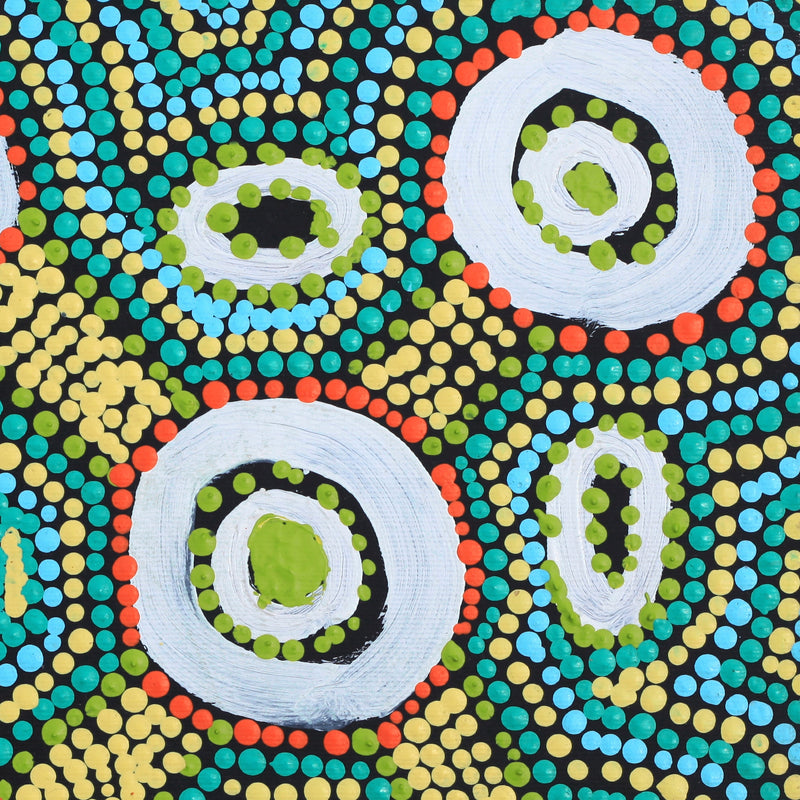 Aboriginal Artwork by Megan Nampijinpa Kantamarra, Marapinti Dreaming, 30x30cm