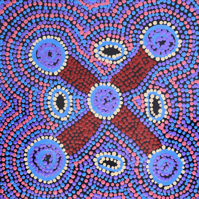 Aboriginal Artwork by Megan Nampijinpa Kantamarra, Marapinti Dreaming, 30x30cm