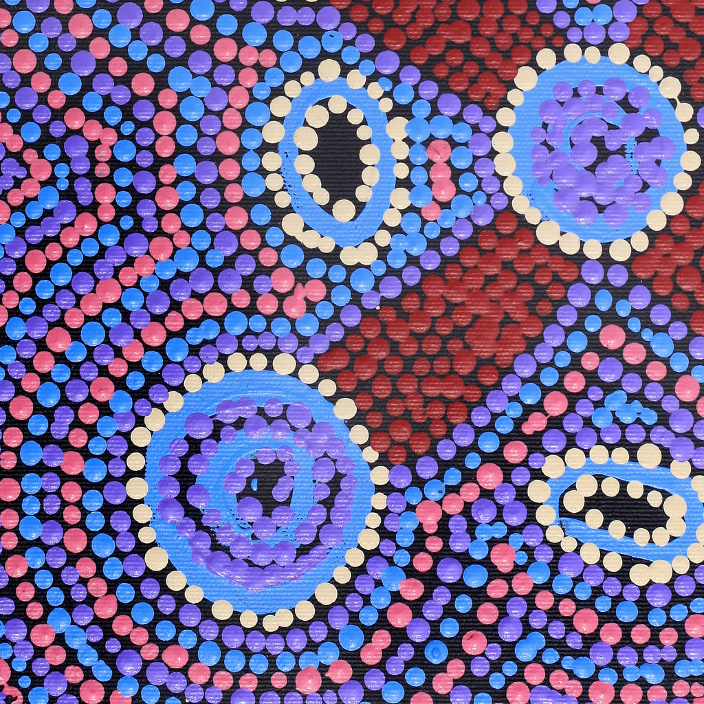 Aboriginal Artwork by Megan Nampijinpa Kantamarra, Marapinti Dreaming, 30x30cm