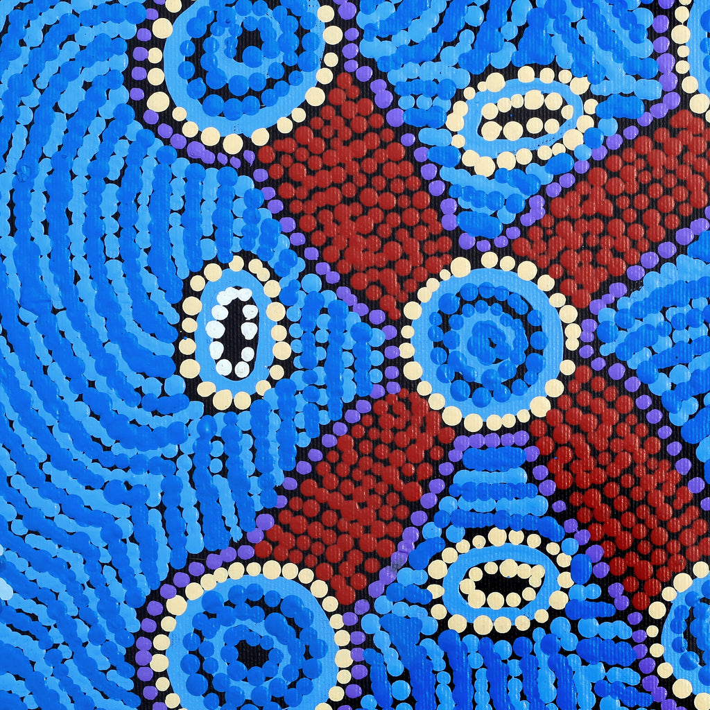 Aboriginal Artwork by Megan Nampijinpa Kantamarra, Marapinti Dreaming, 30x30cm