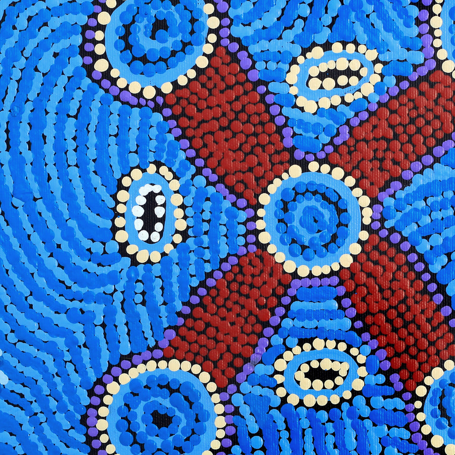 Aboriginal Artwork by Megan Nampijinpa Kantamarra, Marapinti Dreaming, 30x30cm