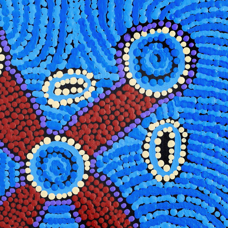 Aboriginal Artwork by Megan Nampijinpa Kantamarra, Marapinti Dreaming, 30x30cm