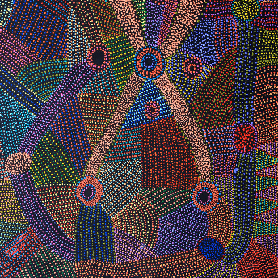 Aboriginal Artwork by Megan Nampijinpa Kantamarra, Marapinti Dreaming, 152x107cm