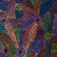 Aboriginal Artwork by Megan Nampijinpa Kantamarra, Marapinti Dreaming, 152x107cm
