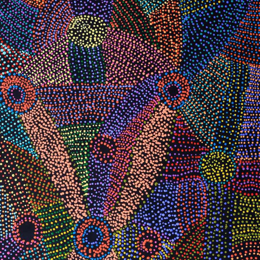 Aboriginal Artwork by Megan Nampijinpa Kantamarra, Marapinti Dreaming, 152x107cm