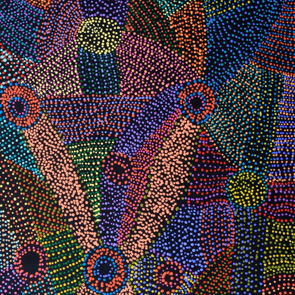 Aboriginal Artwork by Megan Nampijinpa Kantamarra, Marapinti Dreaming, 152x107cm - ART ARK®