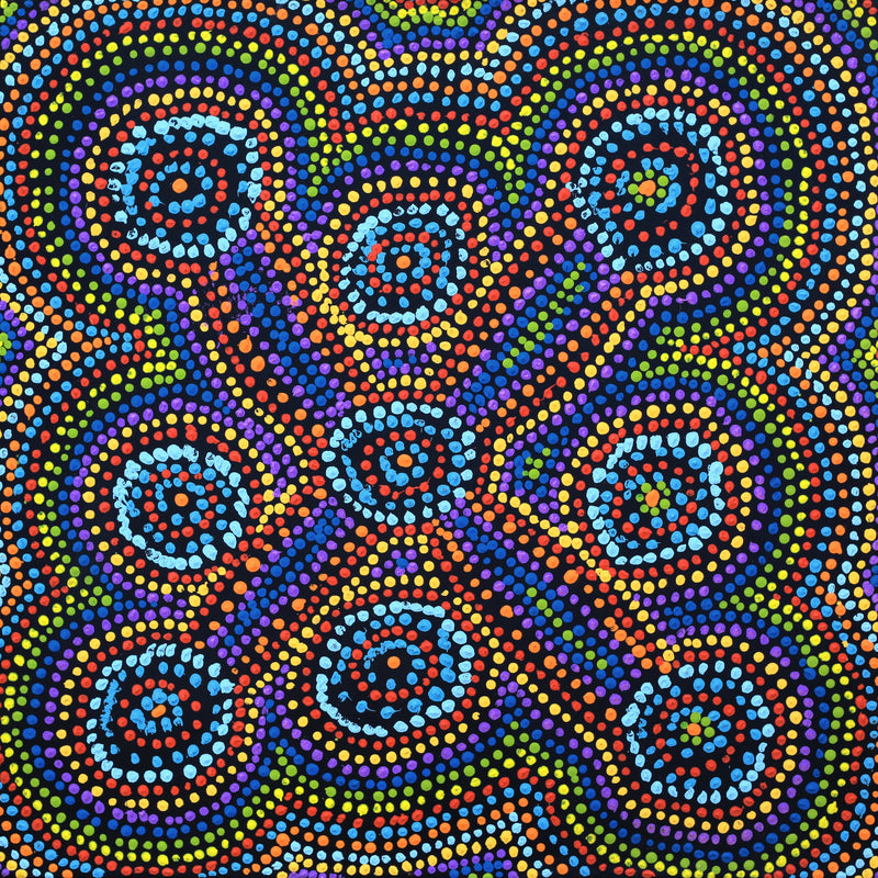 Aboriginal Artwork by Megan Nampijinpa Kantamarra, Marapinti Dreaming, 46x46cm