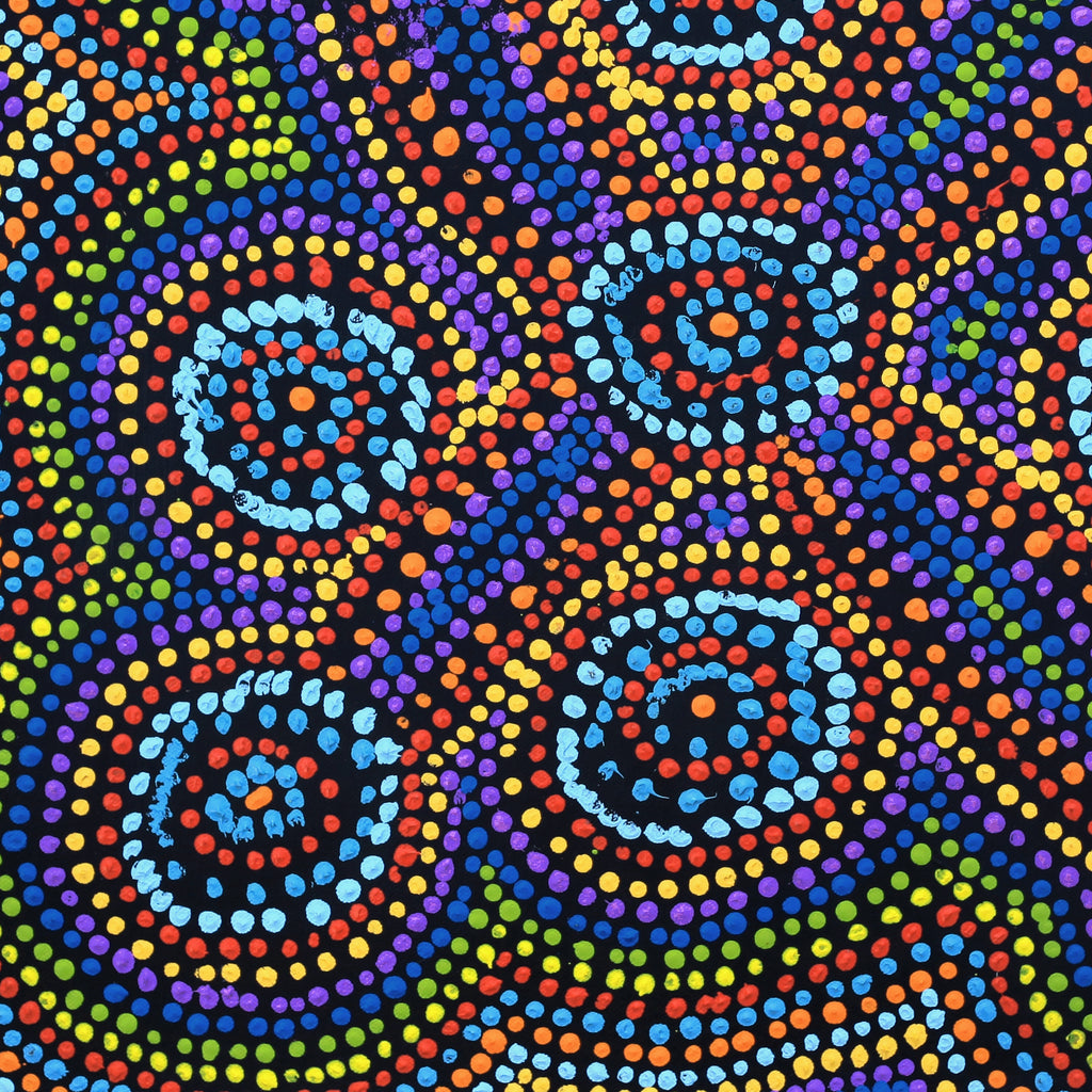 Aboriginal Artwork by Megan Nampijinpa Kantamarra, Marapinti Dreaming, 46x46cm