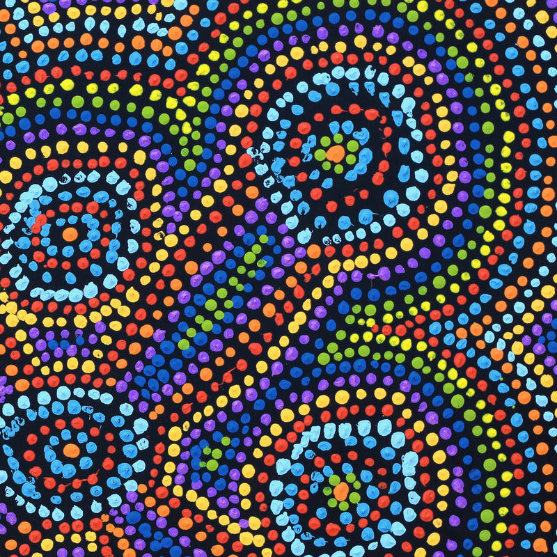 Aboriginal Artwork by Megan Nampijinpa Kantamarra, Marapinti Dreaming, 46x46cm