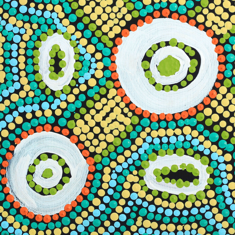Aboriginal Artwork by Megan Nampijinpa Kantamarra, Marapinti Dreaming, 30x30cm