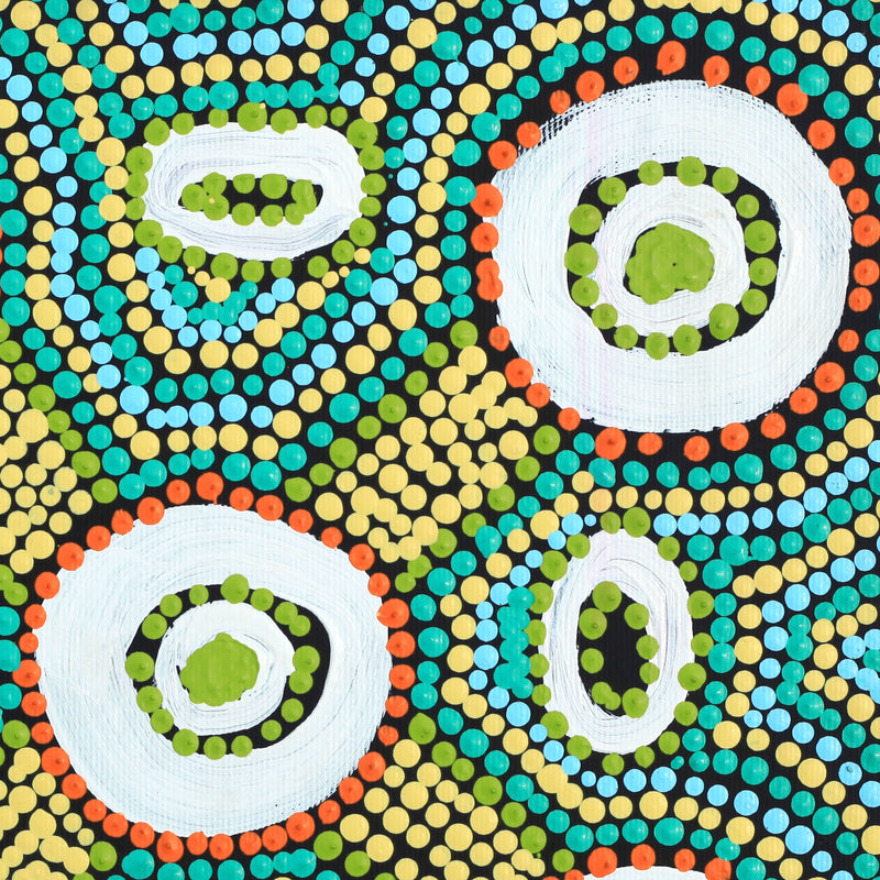 Aboriginal Artwork by Megan Nampijinpa Kantamarra, Marapinti Dreaming, 30x30cm