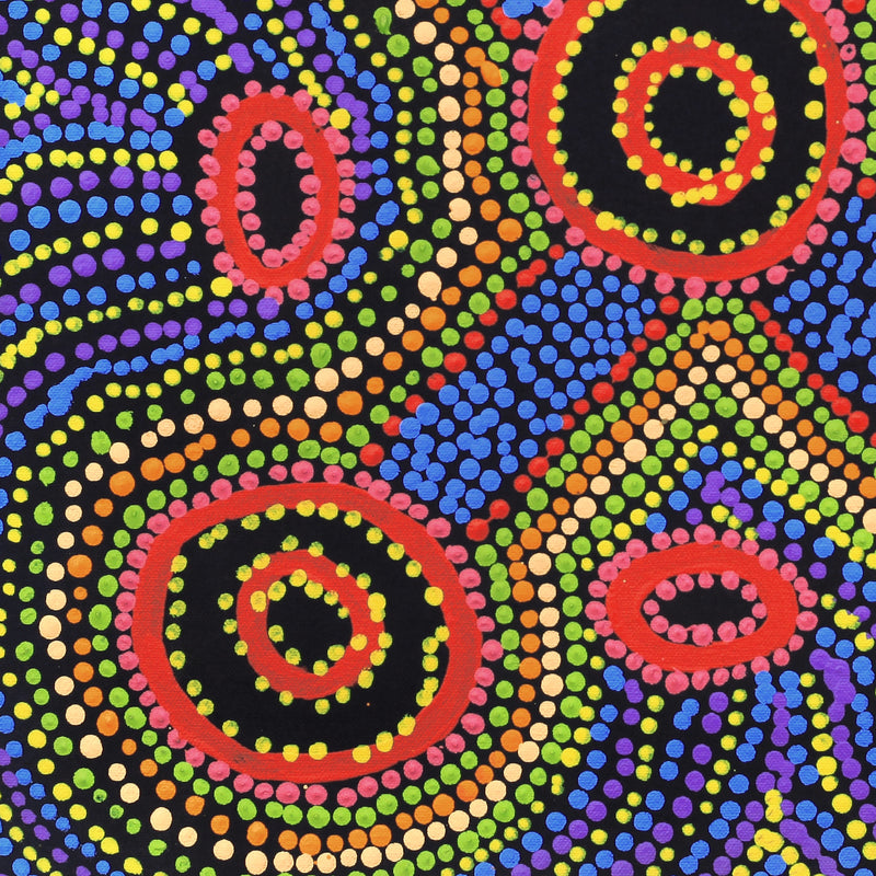 Aboriginal Artwork by Megan Nampijinpa Kantamarra, Marapinti Dreaming, 46x46cm