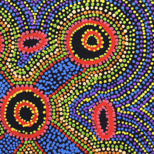Aboriginal Artwork by Megan Nampijinpa Kantamarra, Marapinti Dreaming, 46x46cm - ART ARK®