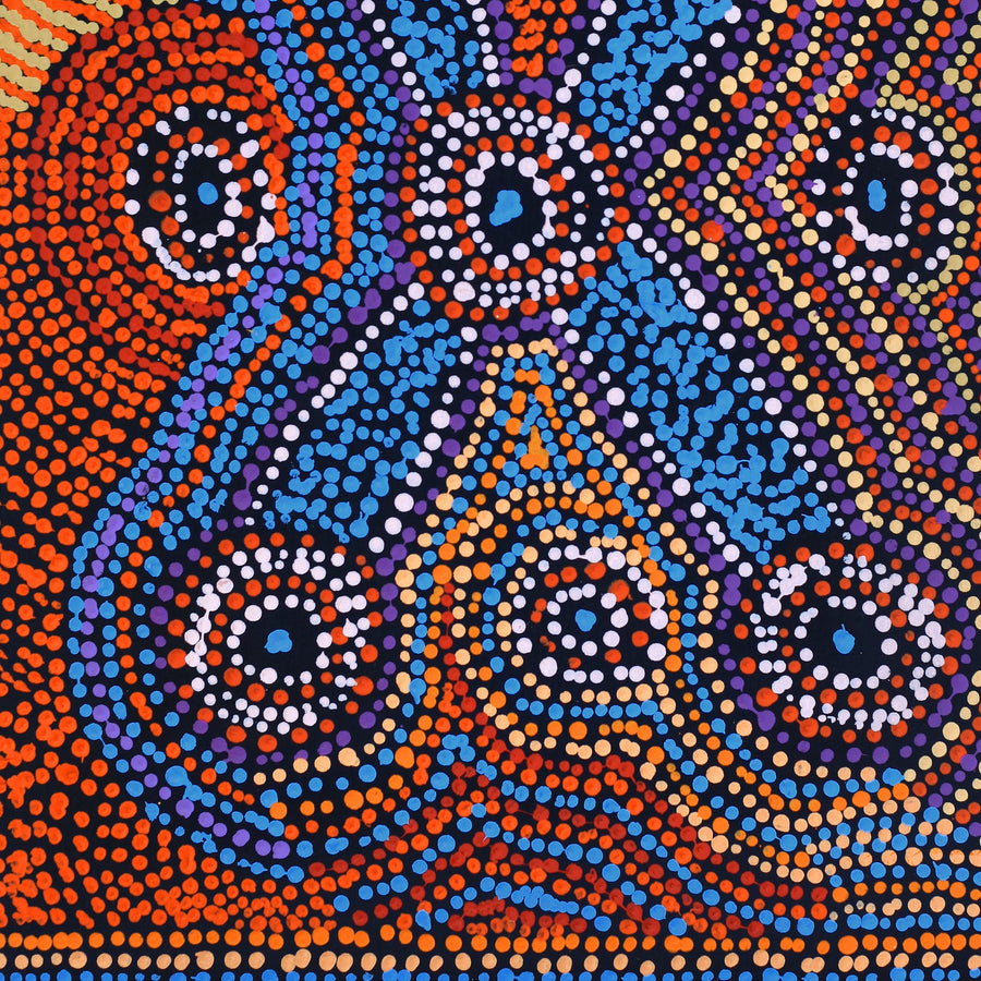 Aboriginal Artwork by Megan Nampijinpa Kantamarra, Marapinti Dreaming, 61x46cm