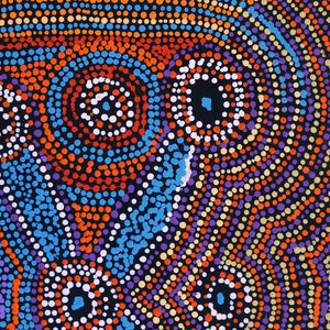 Aboriginal Artwork by Megan Nampijinpa Kantamarra, Marapinti Dreaming, 61x46cm - ART ARK®