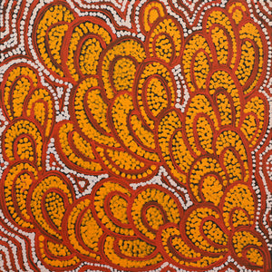 Aboriginal Artwork by Melinda Napurrurla Wilson,  Lukarrara Jukurrpa (Desert Fringe-rush Seed Dreaming), 30x30cm - ART ARK®
