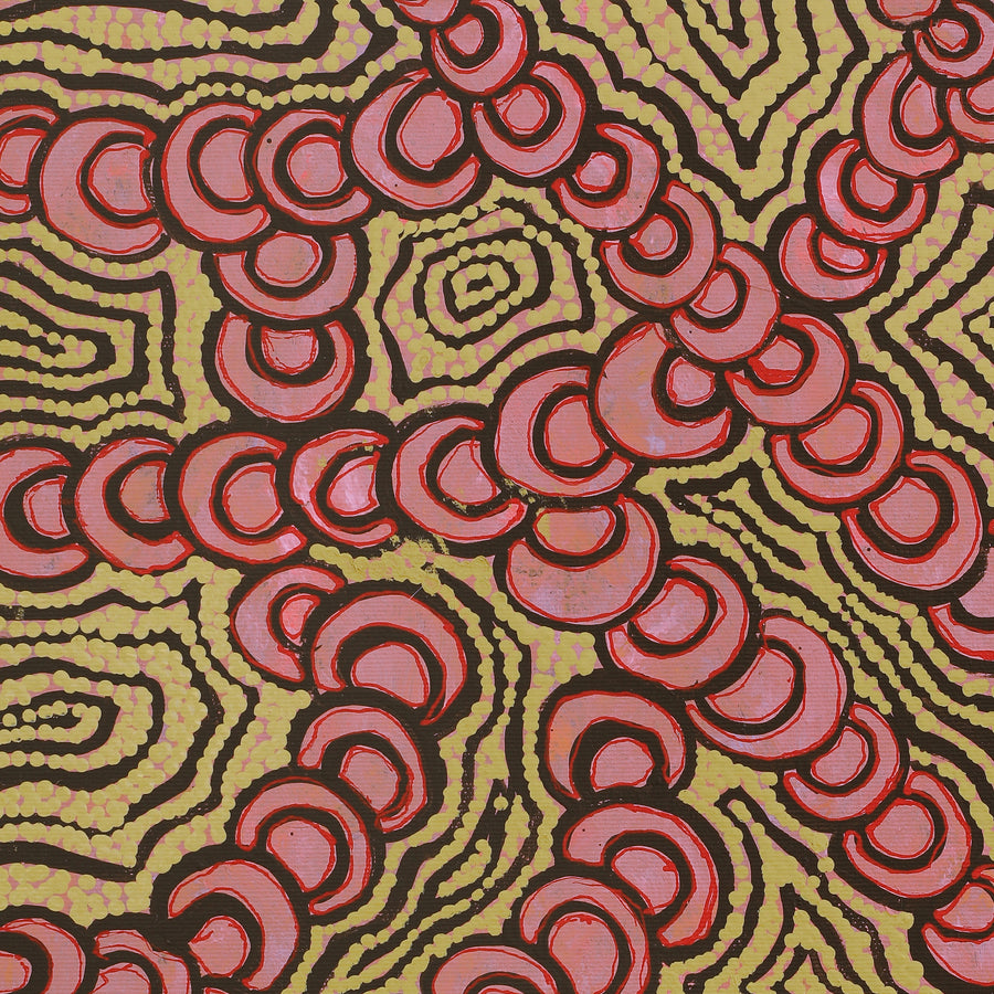 Aboriginal Artwork by Melinda Napurrurla Wilson, Lukarrara Jukurrpa (Desert Fringe-rush Seed Dreaming), 50x40cm