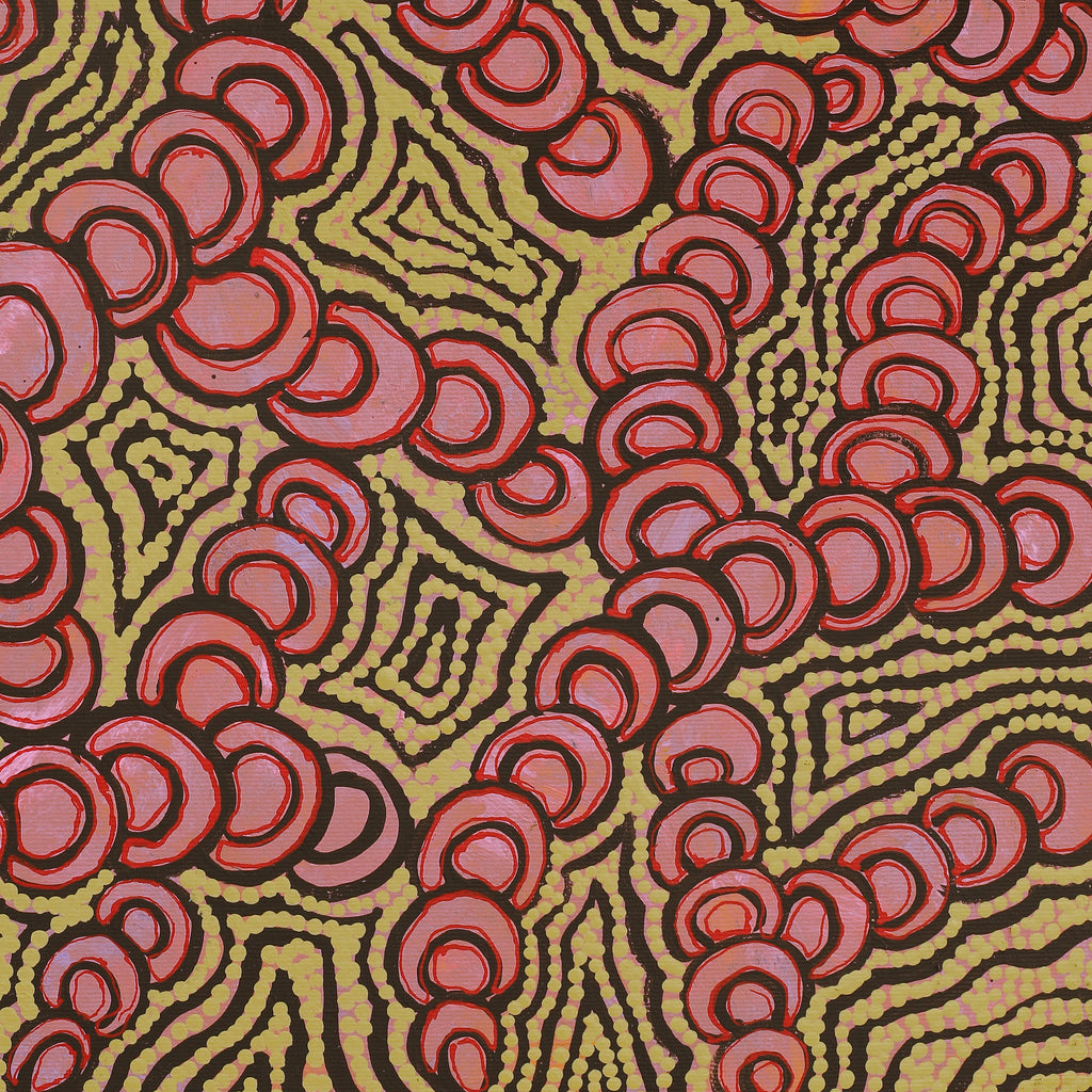Aboriginal Artwork by Melinda Napurrurla Wilson, Lukarrara Jukurrpa (Desert Fringe-rush Seed Dreaming), 50x40cm