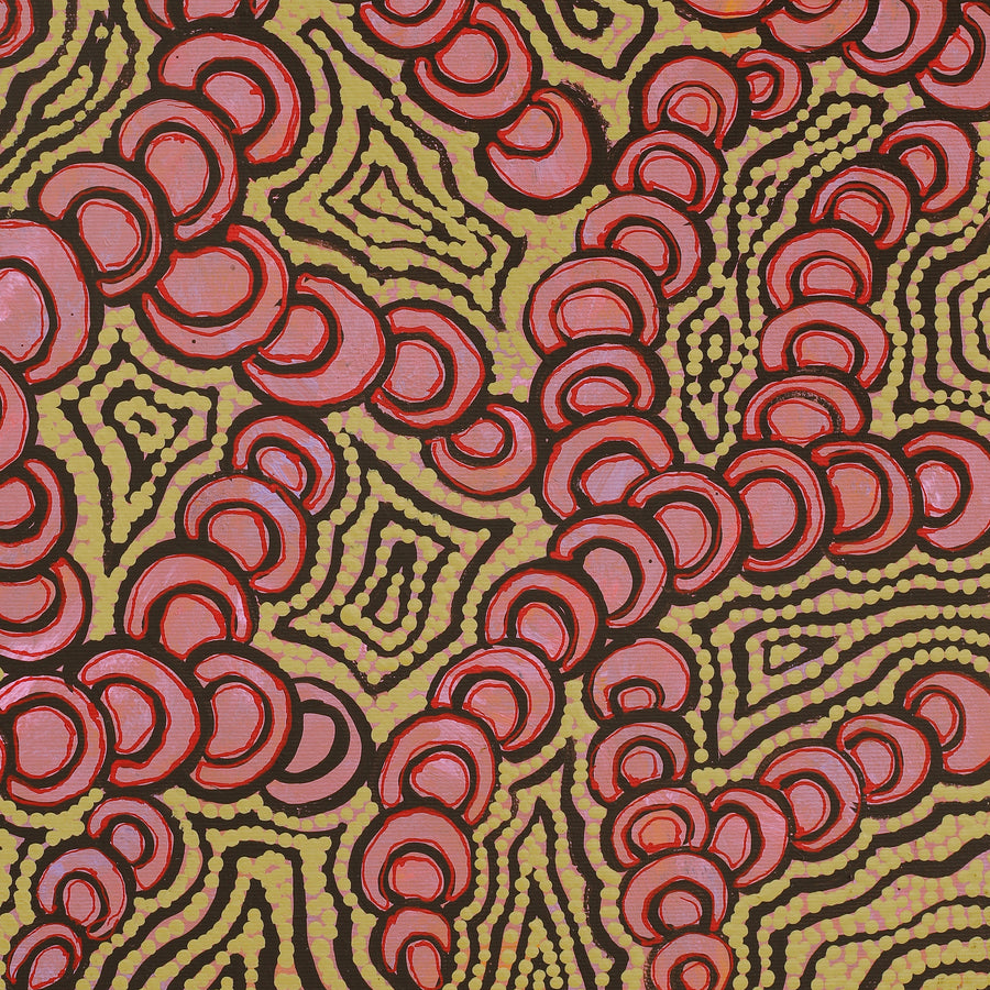 Aboriginal Artwork by Melinda Napurrurla Wilson, Lukarrara Jukurrpa (Desert Fringe-rush Seed Dreaming), 50x40cm