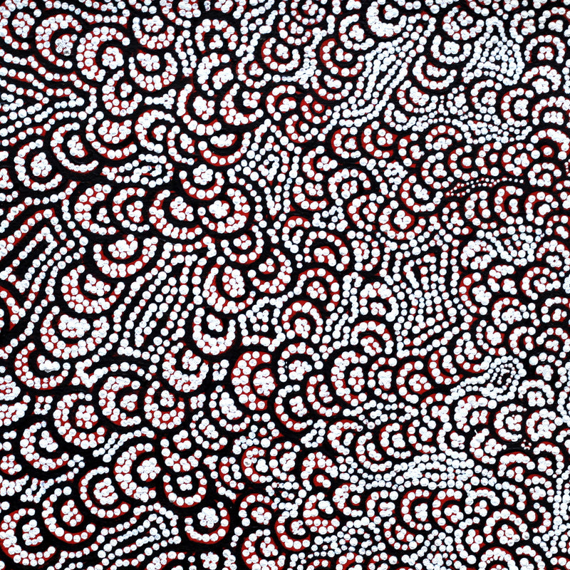 Aboriginal Artwork by Melinda Napurrurla Wilson, Lukarrara Jukurrpa (Desert Fringe-rush Seed Dreaming), 46x46cm