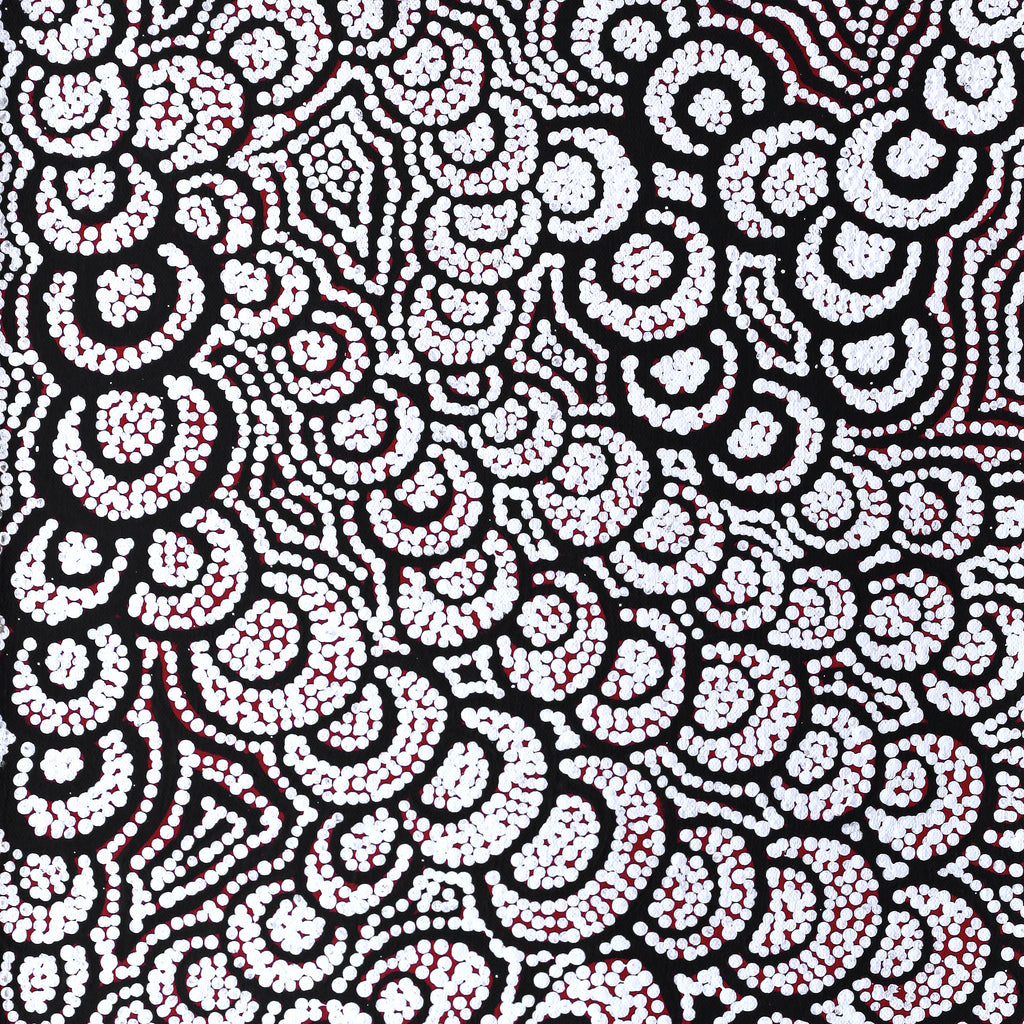 Aboriginal Artwork by Melinda Napurrurla Wilson, Lukarrara Jukurrpa (Desert Fringe-rush Seed Dreaming), 61x30cm