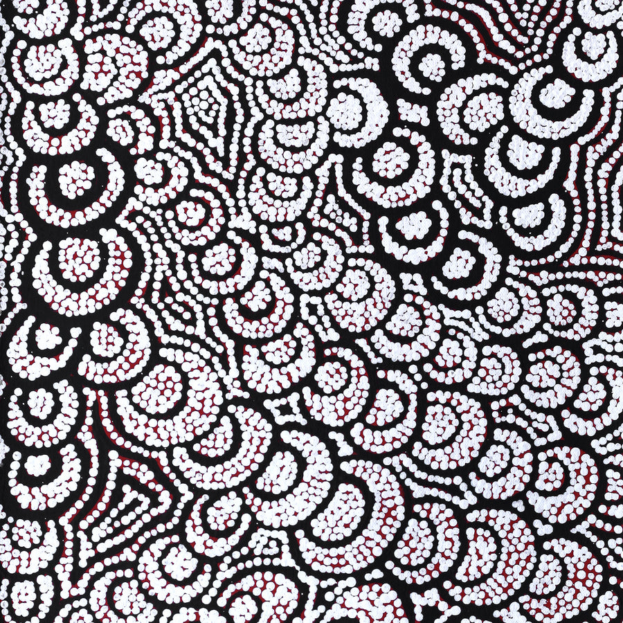 Aboriginal Artwork by Melinda Napurrurla Wilson, Lukarrara Jukurrpa (Desert Fringe-rush Seed Dreaming), 61x30cm